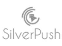 silver logo 150x150